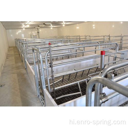 SowChoice Farrowing तल नई सामग्री
